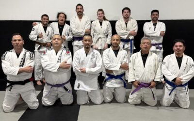 Adult BJJ